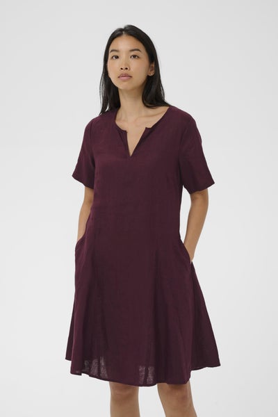 AminasaPW Dress, Fig