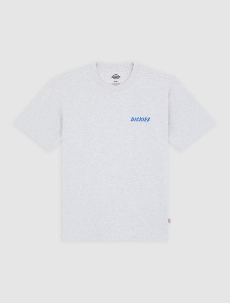 Dry Ridge Ss Tee, Light Gray