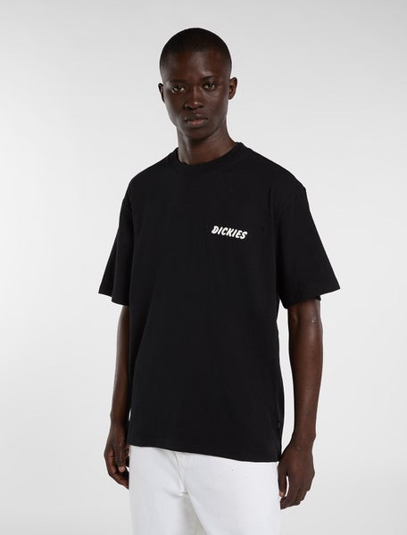 Dry Ridge Ss Tee, Black